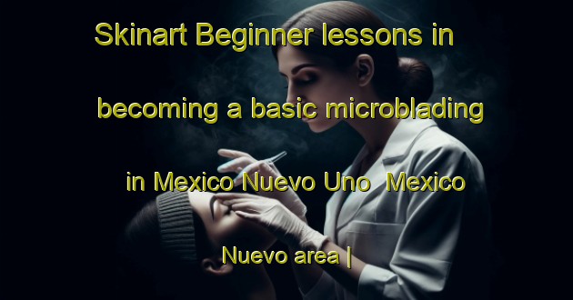 Skinart Beginner lessons in becoming a basic microblading in Mexico Nuevo Uno  Mexico Nuevo area | MicrobladingTraining | MicrobladingClasses | SkinartTraining-Mexico